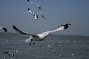 img_2234.jpg