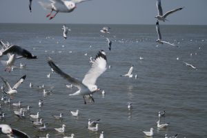 img_2235.jpg