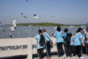 img_2238.jpg