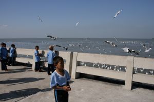 img_2239.jpg