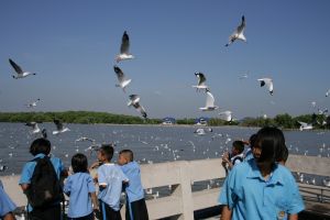 img_2240.jpg