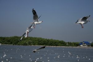 img_2241.jpg