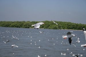 img_2242.jpg