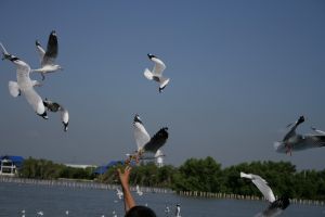 img_2243.jpg