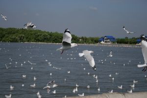 img_2244.jpg