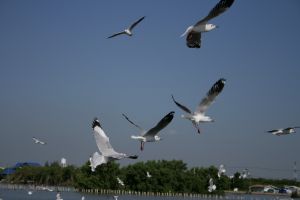 img_2245.jpg