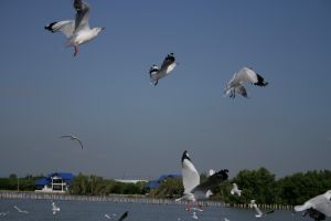 img_2246.jpg