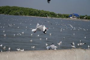img_2249.jpg