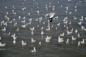 img_2255.jpg