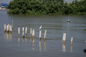 img_2257.jpg