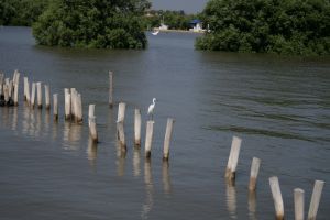 img_2258.jpg