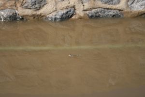 img_2262.jpg