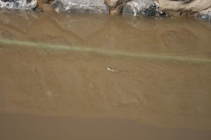 img_2263.jpg