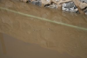 img_2264.jpg