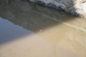 img_2266.jpg