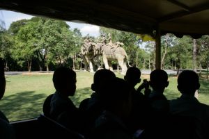 img_2289.jpg