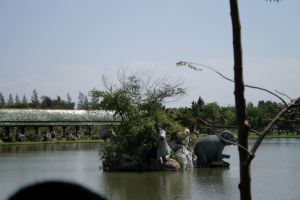 img_2366.jpg