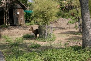 img_2375.jpg