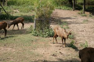 img_2377.jpg