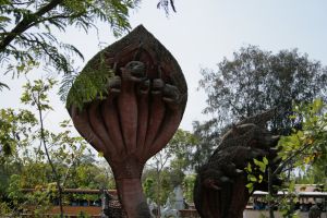 img_2408.jpg