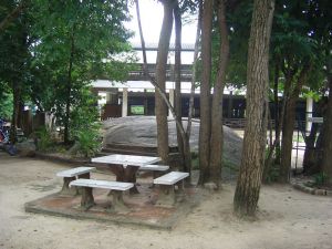 cimg0948.jpg.jpg