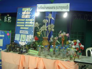cimg0972.jpg.jpg