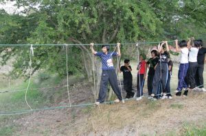img_1027.jpg.jpg