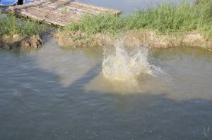 img_1055.jpg.jpg