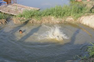 img_1056.jpg.jpg
