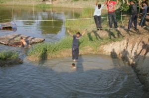 img_1065.jpg.jpg