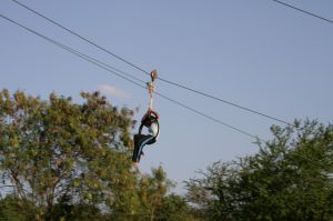 img_1136.jpg.jpg