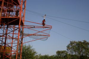 img_1143.jpg.jpg