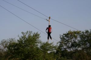 img_1146.jpg.jpg