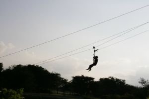 img_1154.jpg.jpg