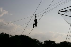img_1156.jpg.jpg