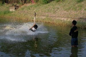 img_1164.jpg.jpg