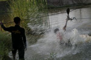 img_1165.jpg.jpg