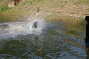 img_1166.jpg.jpg