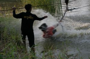 img_1167.jpg.jpg