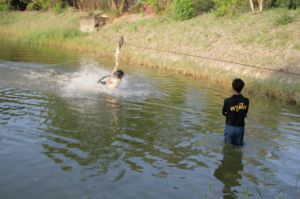 img_1168.jpg.jpg