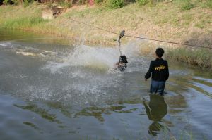 img_1170.jpg.jpg