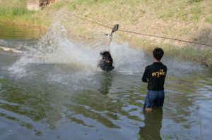 img_1172.jpg.jpg