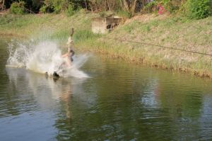 img_1175.jpg.jpg
