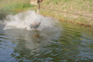 img_1181.jpg.jpg
