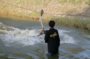 img_1184.jpg.jpg