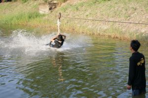 img_1186.jpg.jpg