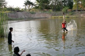 img_1187.jpg.jpg