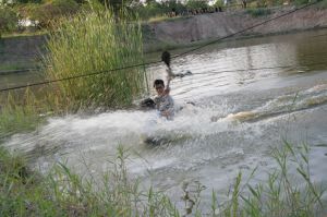 img_1207.jpg.jpg