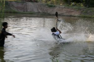 img_1213.jpg.jpg