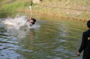 img_1214.jpg.jpg